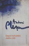 DESPRE FRUMUSETEA UITATA A VIETII-ANDREI PLESU-278793