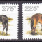 Antile 1996 fauna cai MI 874-877 MNH