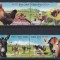 Cuba 2018 - ANIMALE de FERMA - MNH