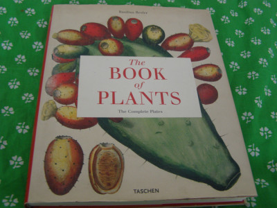 Cartea Plantelor The Book of plants foto