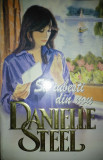 Să iubești din nou, Danielle Steel