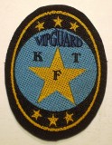 5.536 ROMANIA ECUSON EMBLEMA PATCH VIPGUARD KTF 58/44mm