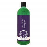 Cumpara ieftin Sampon Auto Nanolex Reactivating Shampoo, 750ml