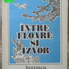 Intre floare si izvor - Dumitru Grigoras// ilustratii George Scutaru