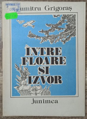 Intre floare si izvor - Dumitru Grigoras// ilustratii George Scutaru foto