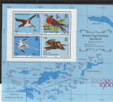 Fauna,pasari marine,British Virgin Islands., Nestampilat