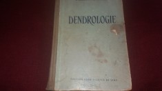 E NEGULESCU - DENDROLOGIE foto