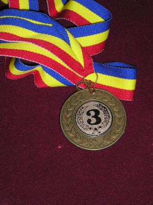 QW1 193 - Medalie - tematica invatamant - Locul 3 foto