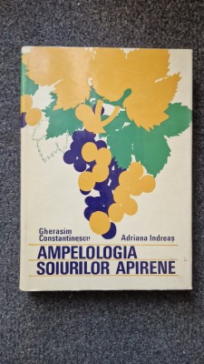 AMPELOLOGIA SOIURILOR APIRENE - Constantinescu, Indreas foto