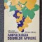 AMPELOLOGIA SOIURILOR APIRENE - Constantinescu, Indreas