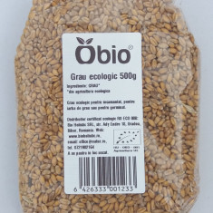 Grau integral bio 500g Obio