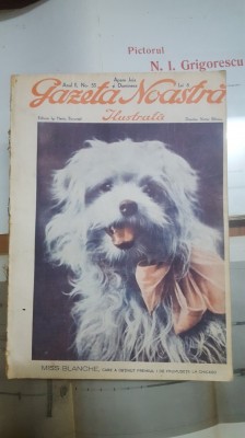 Gazeta Noastră Ilustrată, Anul 2, Nr. 55, 1929 foto