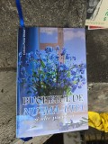 Buchetul de nu-ma-uita si alte povestiri - Alexandru Bogat&icirc;reț