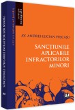 Sanctiunile aplicabile infractorilor minori | Andrei-Lucian Puscasu