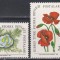 Ciprul Turc 1981 - Flori, MNH