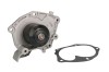 Pompa apa RENAULT MEGANE II Limuzina (LM0/1) (2003 - 2016) THERMOTEC D11073TT