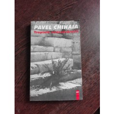 TREPTELE NEDESAVARSIRII, PAVEL CHIHAIA