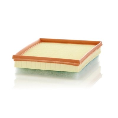 Filtru aer Mann-Filter C24017 foto