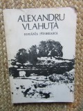 ROMANIA PITOREASCA - ALEXANDRU VLAHUTA