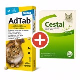 Antiparazitar intern extern pisici Cestal cat + AdTab