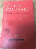 LITR BPT IUH2 - Ion Calugarul - nr 132 - Copilaria unui netrebnic