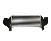 Radiator intercooler Ford Fiesta 4 (Ja, Jb), Focus 1 (Daw, Dbw), Tourneo Connect, Transit Connect (P65, P70, P80)