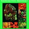 Introduction to Radioactive Minerals