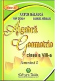 Algebra. Geometrie, Clasa a VIII-a, Semestrul I 2012