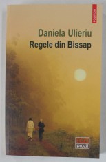 REGELE DIN BISSAP , roman de DANIELA ULIERIU , 2024