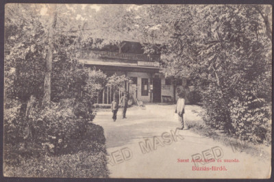 5020 - BUZIAS, Timis, Romania - old postcard - used - 1910 foto