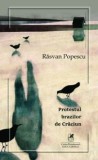 Protestul brazilor de Craciun/Rasvan Popescu