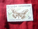 Timbru R. Centrafricana - Fluturi 1960 , val. 5fr stampilat