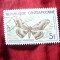Timbru R. Centrafricana - Fluturi 1960 , val. 5fr stampilat