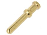 Pin Tată Aurit 6mm2 10AWG Crimpat 40A
