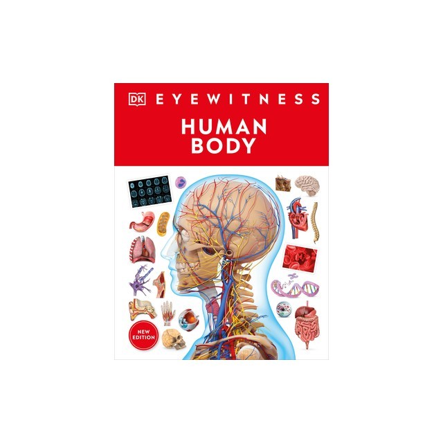 Human Body