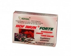 Imun Forte 20 comprimate - Hofigal foto