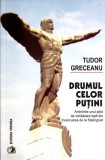 DRUMUL CELOR PUTINI-T. GRECEANU-356056