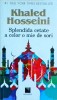 Khaled Hosseini - Splendida cetate a celor o mie de sori, Niculescu, 2020, 399 pagini, Roman, Beletristica