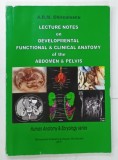 LECTURE NOTES ON DEVELOPMENTAL FUNCTIONAL and CLINICAL ANATOMY OF THE ABDOMEN and PELVIS by A. R. M. CHIRCULESCU , 2011