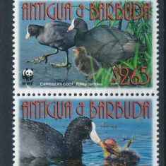 ANTIGUA&BARBUDA 2009, Fauna WWF, serie neuzata, MNH