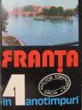 Franta in 4 anotimpuri - Victor Torynopol