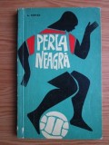 Alain Fontan - Perla neagra