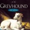 The Reign of the Greyhound