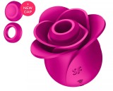 Stimulator Clitoris Pro 2 Modern Blossom, 11 Viteze Suctiune, Silicon, USB, Roz, Satisfyer