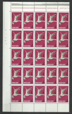 TSV$ - 1981 LP 1024 EXPO NATIONALA CANINA SERIA IN BLOC DE 25/JUM.COALA MNH/** foto