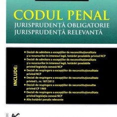 Codul penal. Jurisprudenta obligatorie. Jurisprudenta relevanta | Dan Lupascu, Mihai Mares