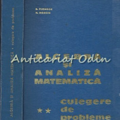 Algebra Si Analiza Matematica. Culegere De Probleme II - D. Flondor