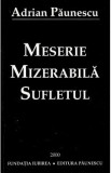 Meserie mizerabila, sufletul - Adrian Paunescu