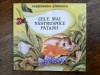 Cele mai nastrusnice patanii - Passionaria Stoicescu, 1991, stare foarte buna / R6P5F, Alta editura