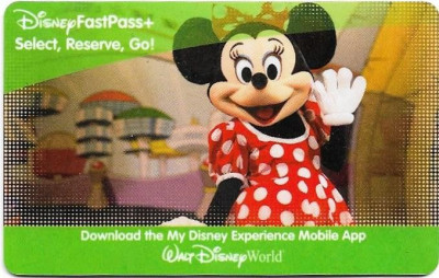 Pentru colectionari, card plastic intrare Disney World foto